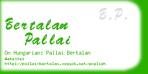 bertalan pallai business card